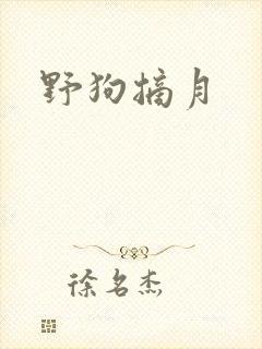 野狗摘月