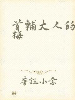 首辅大人的小青梅