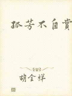 孤芳不自赏小说