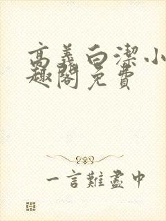 高义白洁小说笔趣阁免费封面