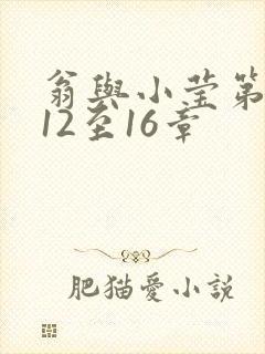 翁与小莹第十部12至16章