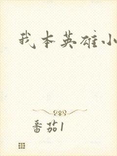 我本英雄小说