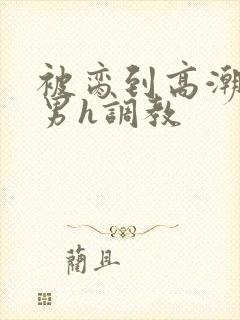 被脔到高潮的直男h调教