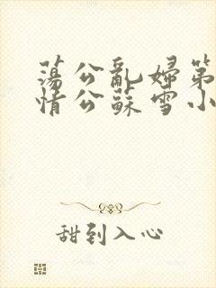 荡公乱妇第1章情公苏雪小说封面