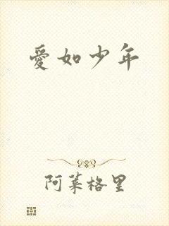 爱如少年