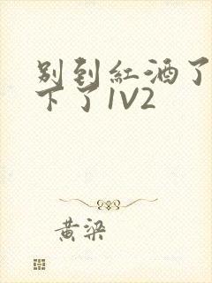 别到红酒了装不下了1V2