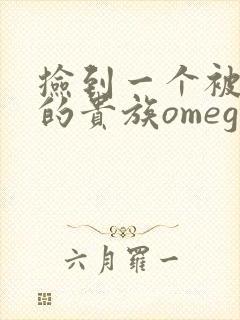 捡到一个被抹布的贵族omega