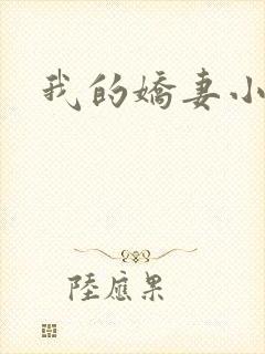 我的娇妻小说