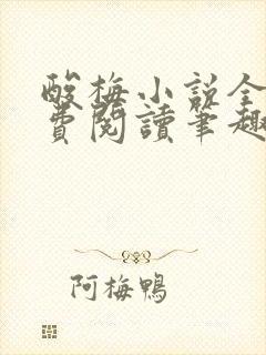 酸梅小说全文免费阅读笔趣阁封面