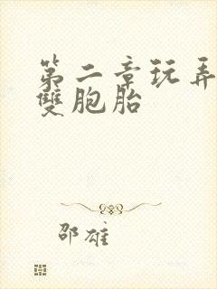 第二章玩弄校花双胞胎