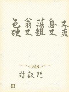 色翁荡息又大又硬又粗又爽