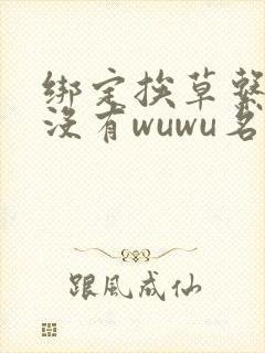 绑定挨草系统后没有wuwu名字