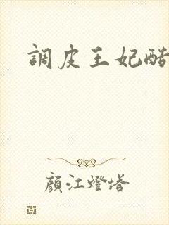 调皮王妃酷王爷