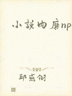 小说肉糜np封面