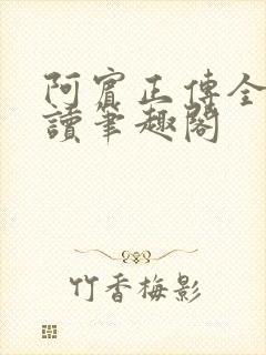 阿宾正传全文阅读笔趣阁封面