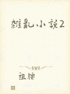 杂乱小说2