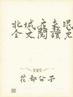 北城夜未眠小说全文阅读免费