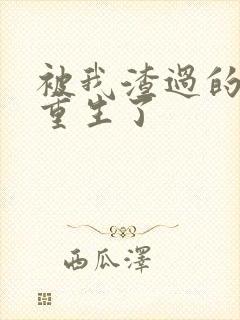 被我渣过的男主重生了