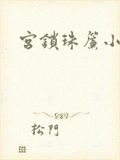 宫锁珠帘小说封面