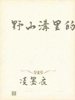 野山沟里的村庄