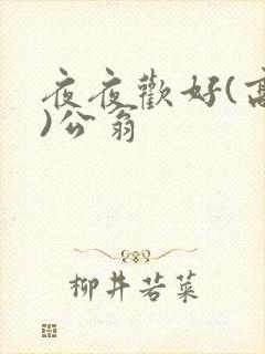 夜夜欢好(高h)公翁封面