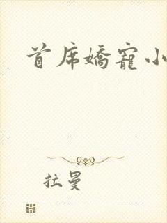 首席娇宠小情人封面