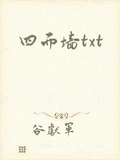 四面墙txt