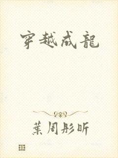 穿越成龙封面
