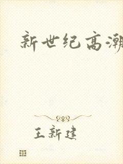 新世纪高潮战队