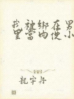 我被绑在男公厕里当肉便小说