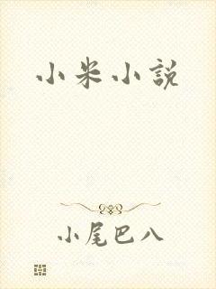 小米小说