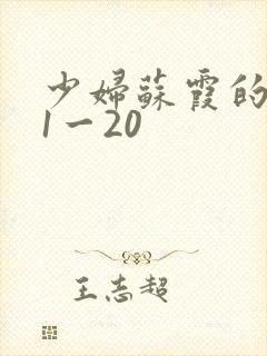 少妇苏霞的沉沦1一20