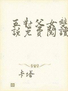 五对父女双飞小说免费阅读封面