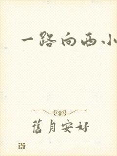 一路向西小说