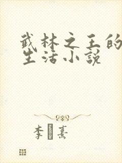 武林之王的退隐生活小说封面