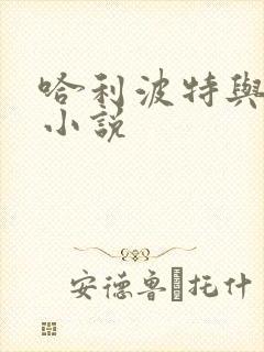 哈利波特与密室小说