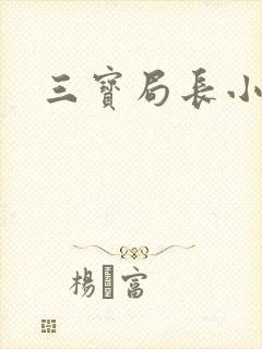 三宝局长小说封面