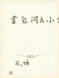 书包网h小说