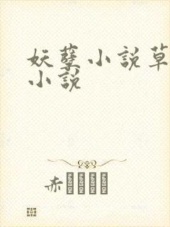 妖孽小说草莓酱小说