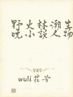 野火林潮生林晚晚小说人物野火