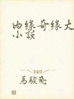 内缘奇缘大团圆小说