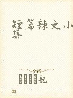 短篇辣文小说合集封面