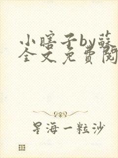 小瞎子by苏软全文免费阅读