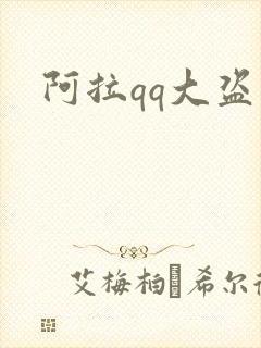 阿拉qq大盗封面