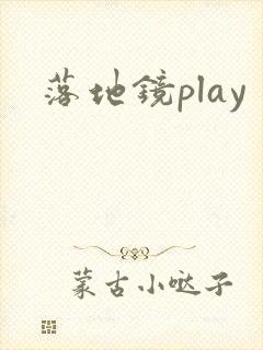 落地镜play