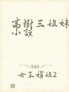 高树三姐妹有声小说封面