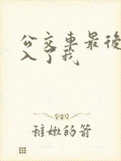 公交车最后一排入了我