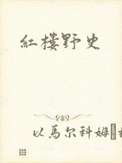 红楼野史