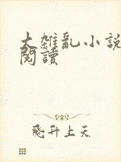 大杂乱小说目录阅读封面
