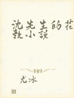 沈先生的花式管教小说